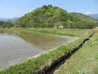 AzumiNishiyama (2).JPG