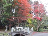 EchigoKiyosakijou (1).JPG