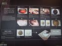 Himeji861.jpg