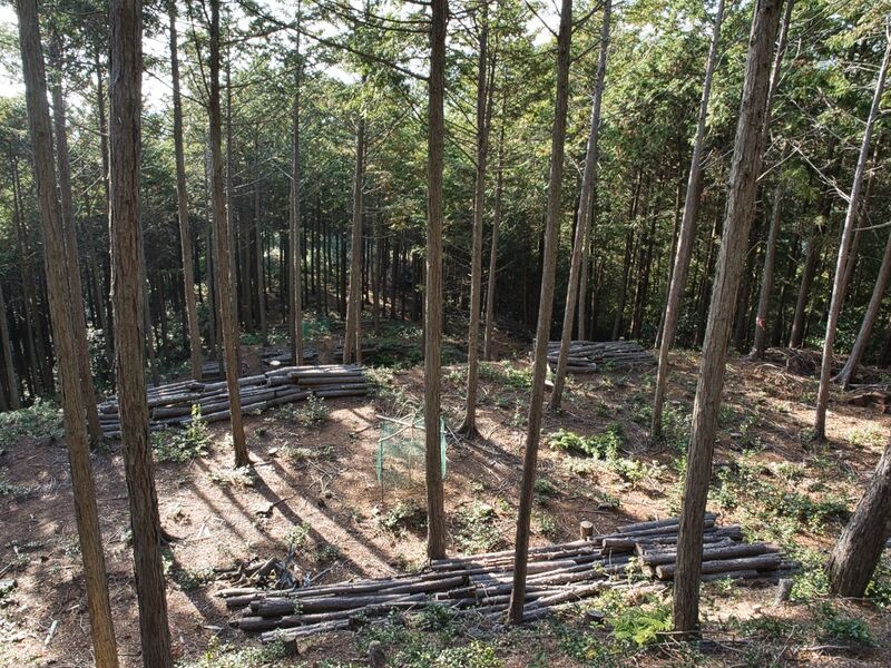 File:Kannosankyoto28.jpg