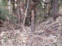 KoideMaruyamajou (1).JPG