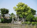 MikawaAkashibujou (2).jpg