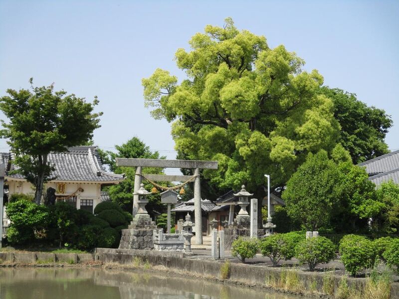 File:MikawaAkashibujou (2).jpg