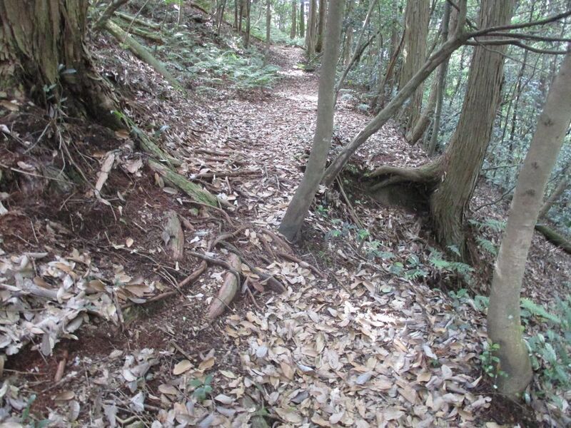 File:MinoSekijou (2).jpg