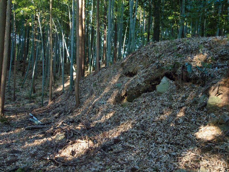 File:Mochizukikoka3.jpg