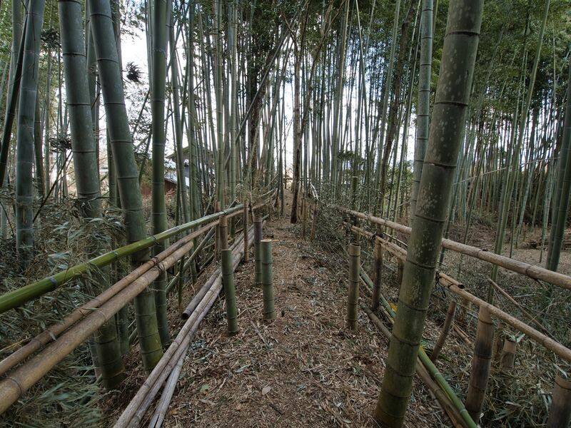 File:Takenaka13.jpg