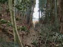Takenaka23.jpg