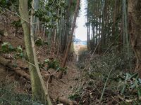 Takenaka23.jpg