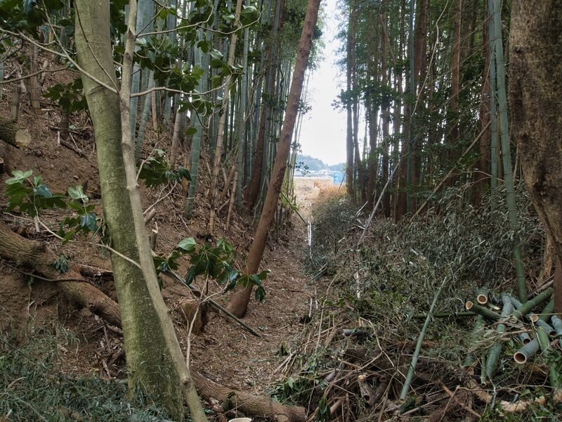 File:Takenaka23.jpg