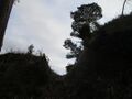 Thumbnail for version as of 10:15, 9 June 2024