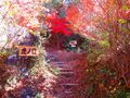 Thumbnail for version as of 14:58, 10 January 2024