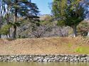 Hikone68.jpg