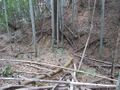 Thumbnail for version as of 11:12, 16 August 2025