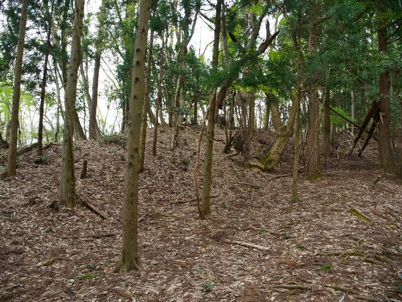 File:Imaichikami3.jpg