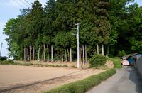 Migawa14.JPG
