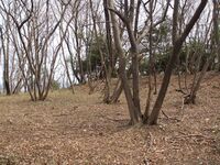 Nishikata39.jpg