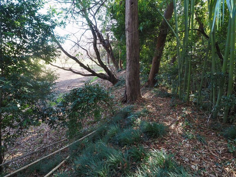 File:Odori19.jpg