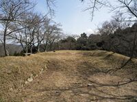 Ogawakoka21.jpg