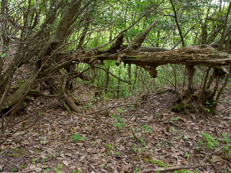 File:Tabeyama2.jpg