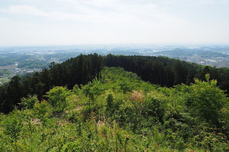 File:Tage24.jpg
