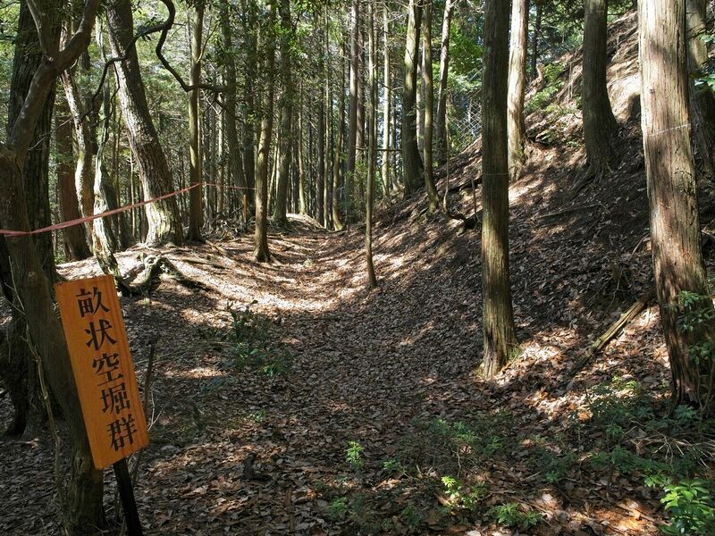 File:Takaokoka7.jpg