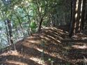 DaikanYashiki001.jpg