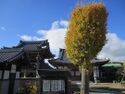 HazuJinya (1).jpg
