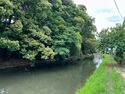 Himejimiddlemoat22.jpg