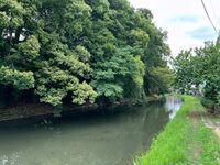 Himejimiddlemoat22.jpg