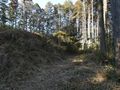 Thumbnail for version as of 00:47, 20 August 2022