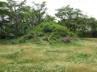 KaiKoyamajou (19).JPG
