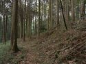 Koideyakatakyoto2.jpg