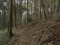 Koideyakatakyoto2.jpg