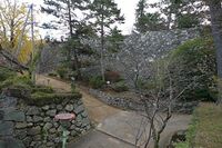 Matsusaka22.jpg