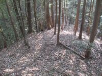 Oiwakehikagejou (3).jpg