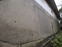 Osaka9.jpg