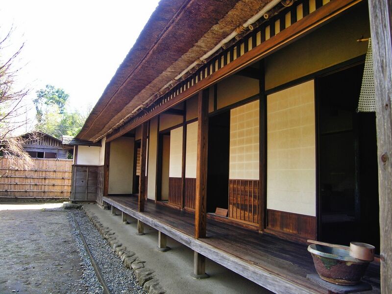 File:Sakura56.jpg
