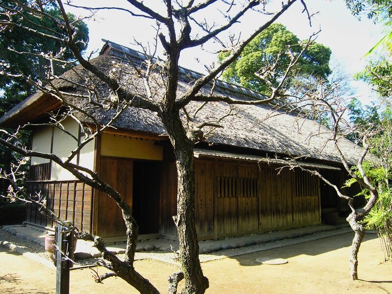 File:Sakura61.jpg