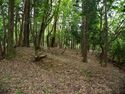 Tagamiyama10.jpg