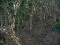Tedori35.jpg