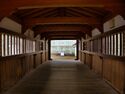 Fukui16.jpg