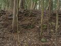 Thumbnail for version as of 00:04, 25 March 2023