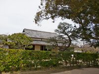 Hagikuchiba20.jpg
