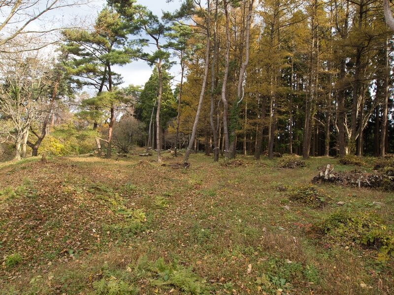 File:Hiyama22.jpg