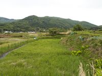 Makabe48.jpg