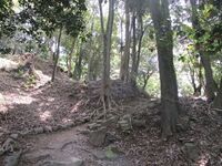 MinoKaneyama11.2.JPG