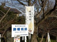 Shobata24.jpg