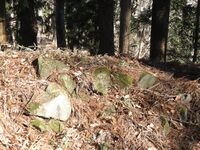 山吹大城20.JPG