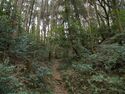 Eboshigata44.jpg