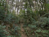 Eboshigata44.jpg
